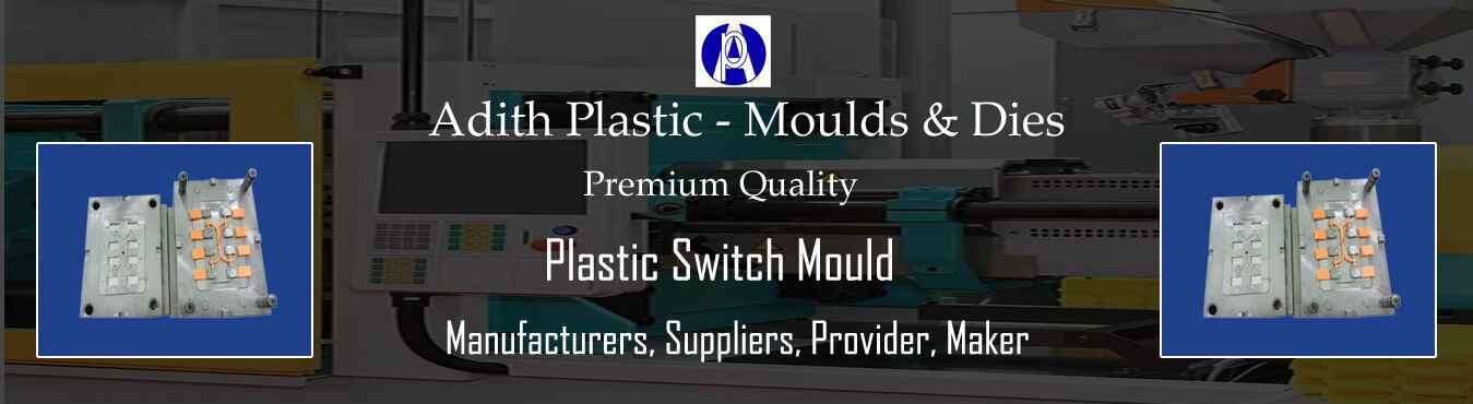 Plastic Switch Mould